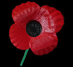 Remembrance Day