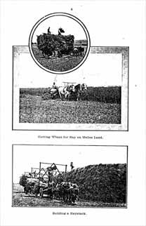 Farming was encouraged during World War 1
