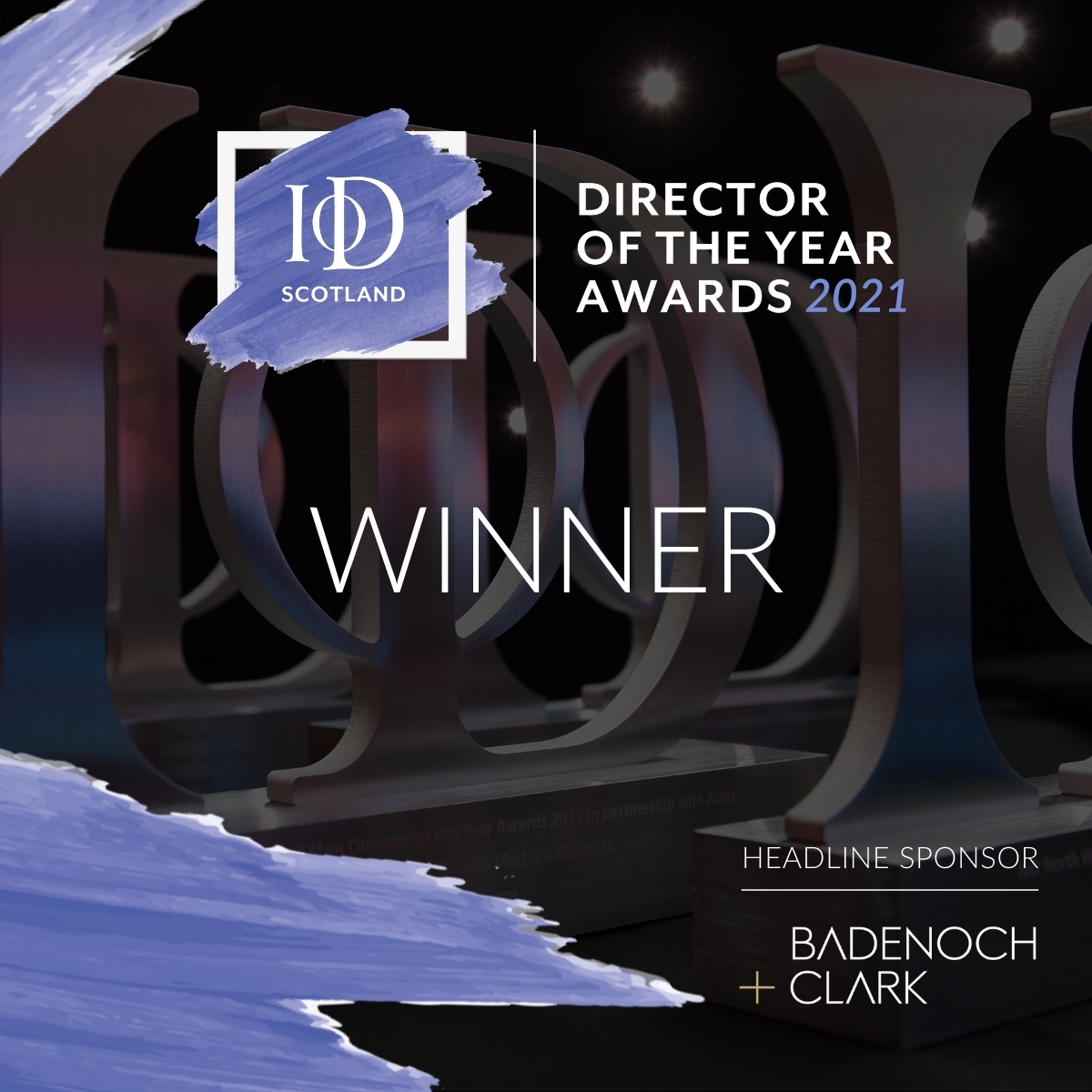 IoD Director of the Year Award image