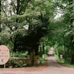 Leafy entrance to Forest View Primary School